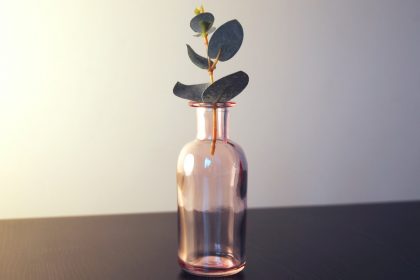 green leaf plant in glass jar