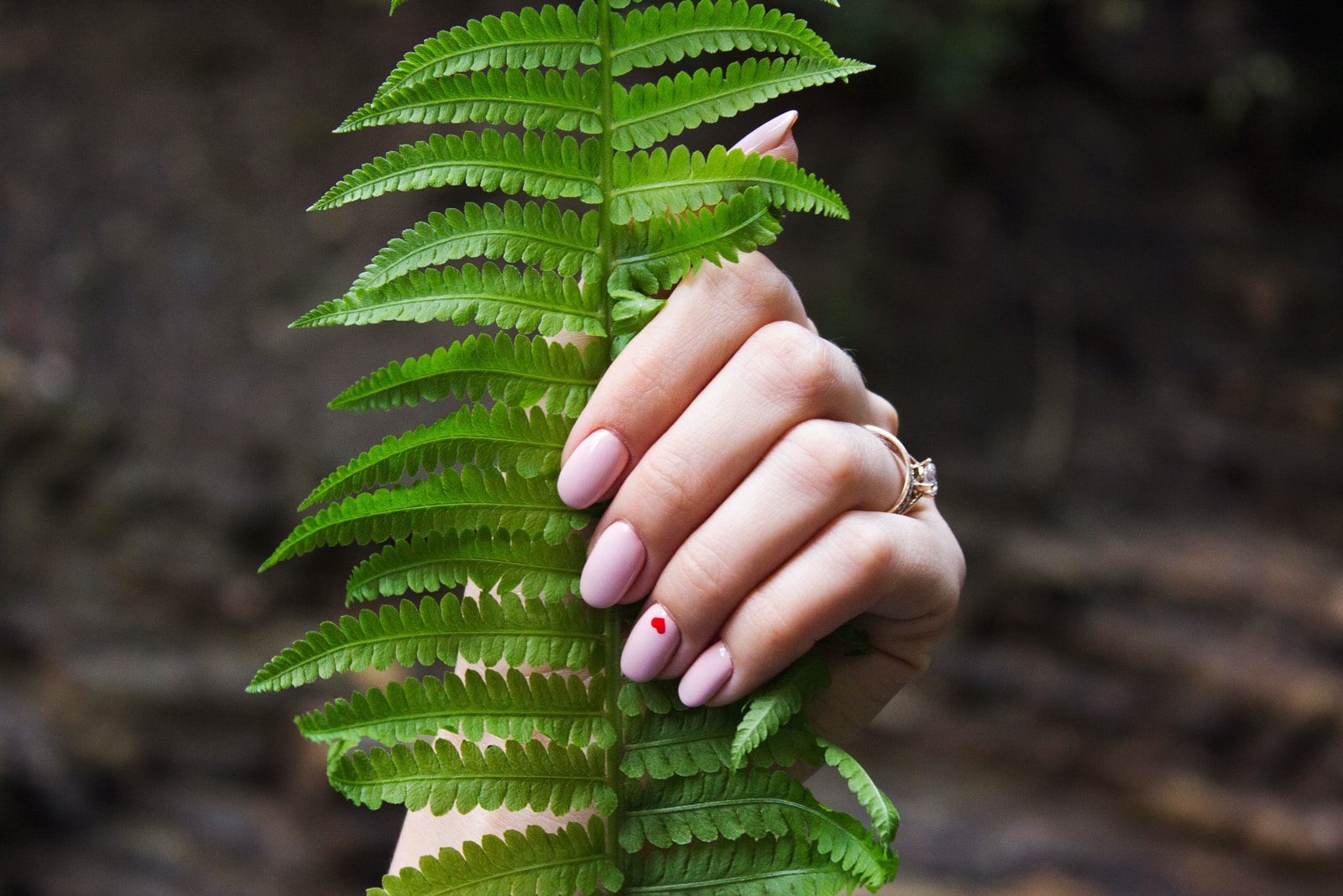 person holding fern leaf