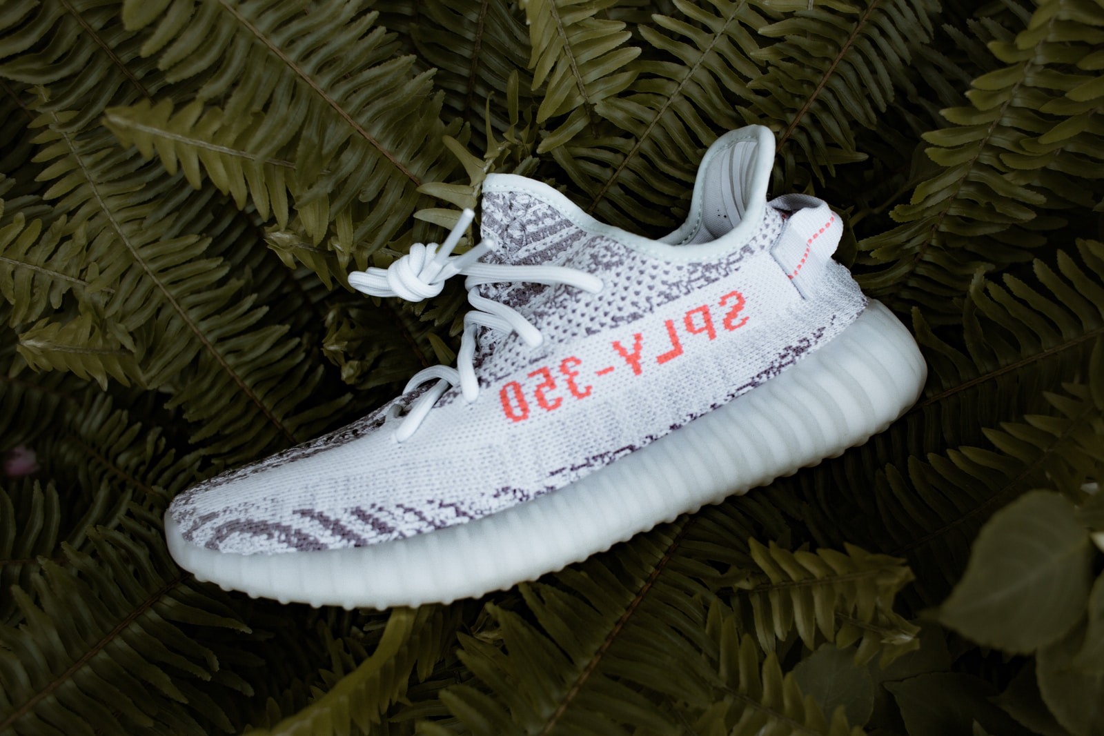 white and black adidas Yeezy Boost SPLY 350 V2 shoe