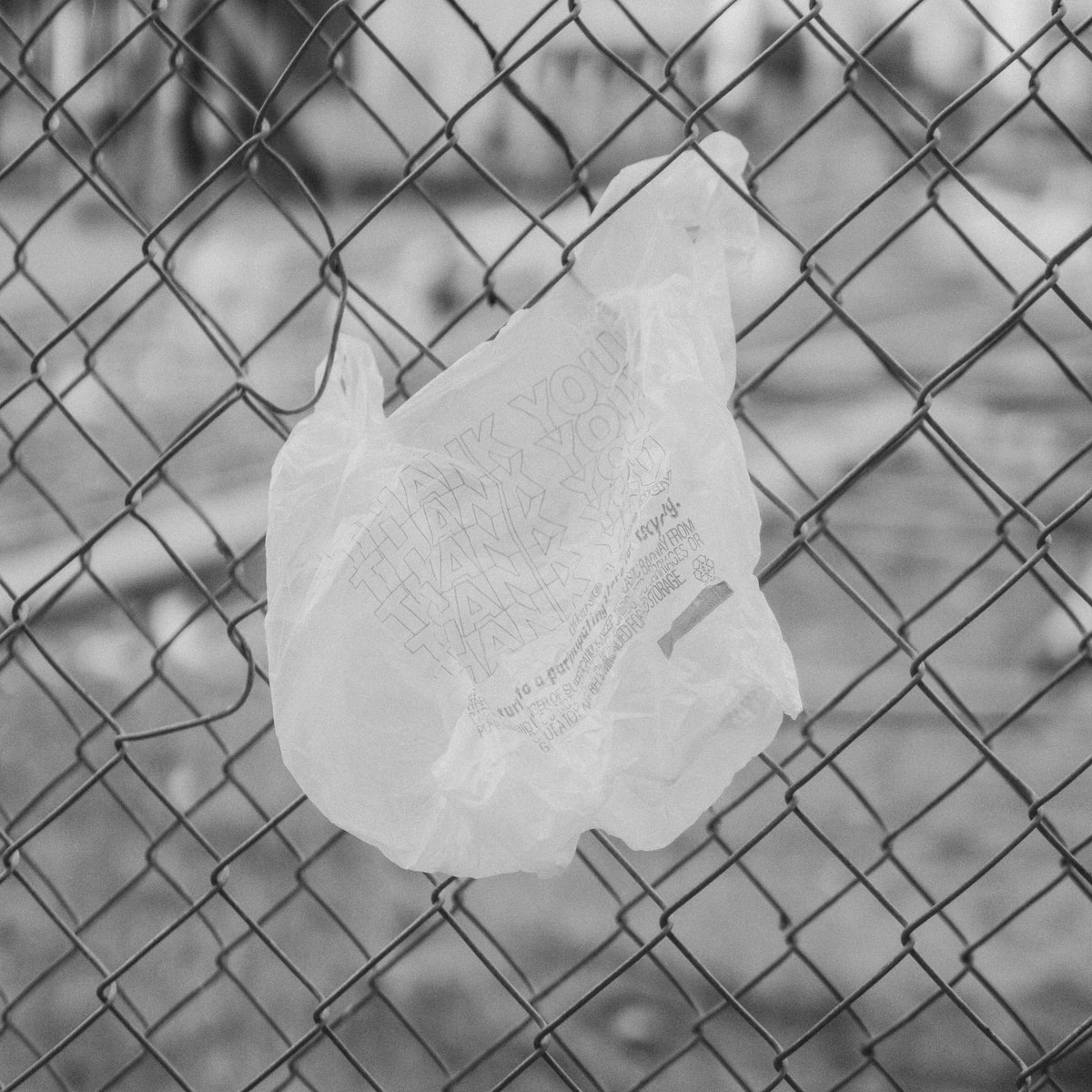 white plastic bag on chain link fence